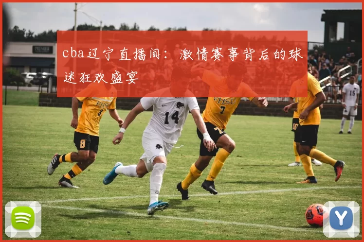 cba辽宁直播间：激情赛事背后的球迷狂欢盛宴