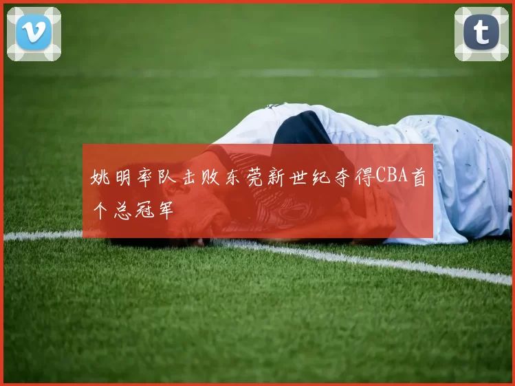 姚明率队击败东莞新世纪夺得CBA首个总冠军