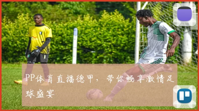PP体育直播德甲,带你畅享激情足球盛宴